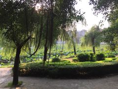 -潘塘公园