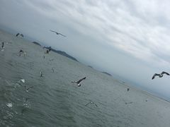 -长岛南北长山旅游景区