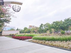 -映月湖公园