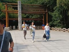 -牛背梁国家森林公园