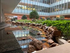 -香港大学