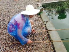 同銮特种养殖场_龙虾垂钓-同銮特种养殖场·龙虾垂钓