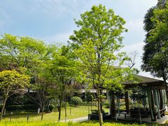 -成都安仁福朋喜来登酒店