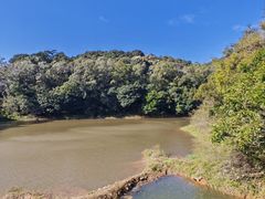 -梧桐山风景名胜区