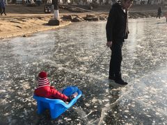 -丁香湖公园