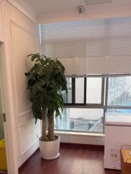 -武汉五洲整形外科医院