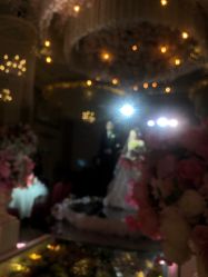 -谛融婚礼酒店·宴会厅(花园店)