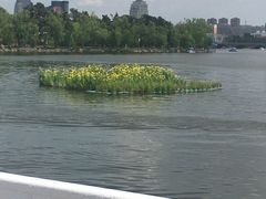 -长春市南湖公园