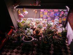-SUPER BOWL 超级碗披萨(崂山丽达店)