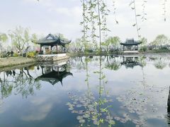 -无锡蠡湖国家湿地公园-蠡园