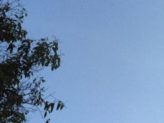 -逍遥谷景区