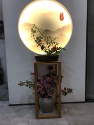 -云上瑜伽·普拉提·维密馆