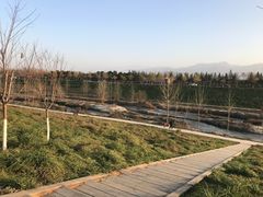 -洨河生态公园