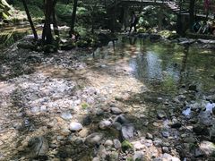 -牛背梁国家森林公园