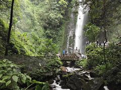 -莫里热带雨林景区