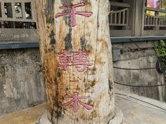 -水车博览园