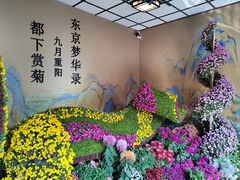 -杭州植物园