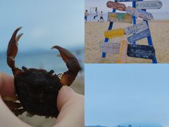 -玫瑰海岸文化旅游度假区