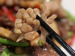 -丁老爷子苏香圆