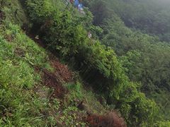 -龙窝子