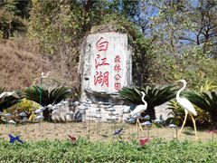 -广州白江湖森林公园