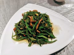 豆角丝炒牛肚-秦园酒楼(水岸星城店)