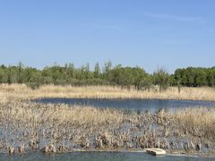 -野鸭湖国家湿地公园