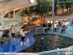 -泉州海丝野生动物世界