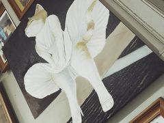 -猫咪博物馆(顶澳仔猫街店)