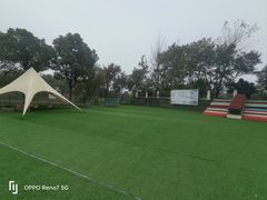 -中国扬子鳄村