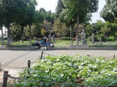 -仙岳公园