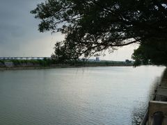 -大湾区中央湿地公园