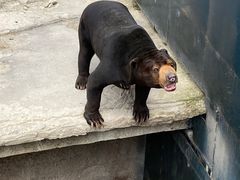 -大连森林动物园