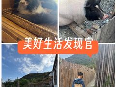 -小时光咖啡馆(开森度假森林店)