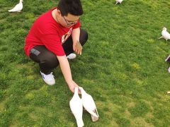 -南通洲际绿博园