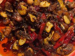 -柴窝堡22号辣子鸡·传承新疆菜