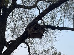 -北京西山国家森林公园