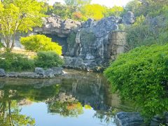 -上海吴淞炮台湾国家湿地公园