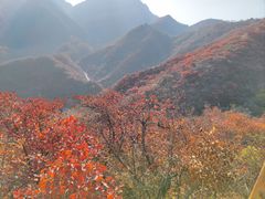 -水峪民俗村