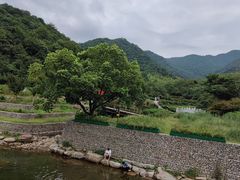 -北仑森林植物园