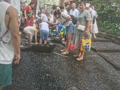 -成都市活水公园