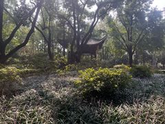 -汇龙潭