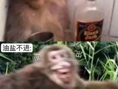 -望湘园·小雅(德基店)