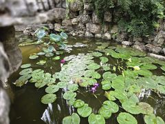 -莲池书院博物馆
