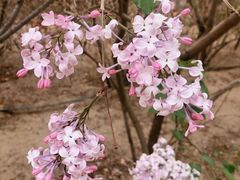 -杨小贤(东融国际影城店)