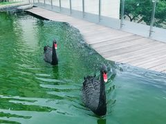 -行者书屋大堂吧 ·下午茶(南京圣和府邸酒店)