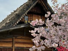 -白川乡与五箇山的合掌构造村落