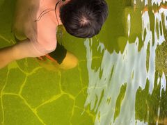 -清远熹乐谷温泉度假酒店