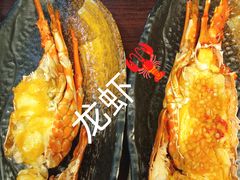 -黑松白鹿(金融街店)