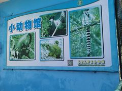 -秦皇岛野生动物园